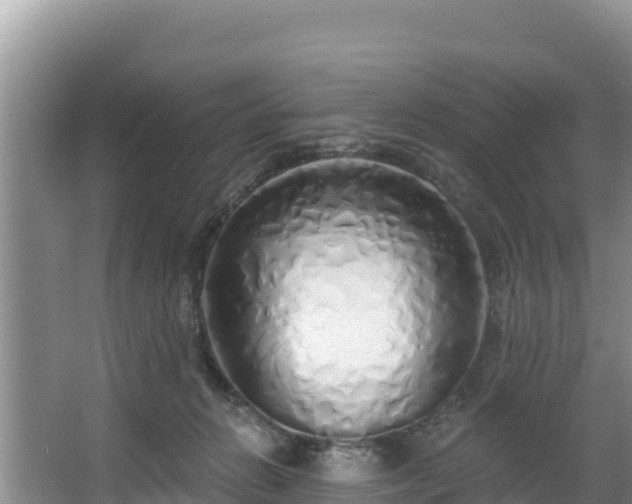 X0000067940270200604171508