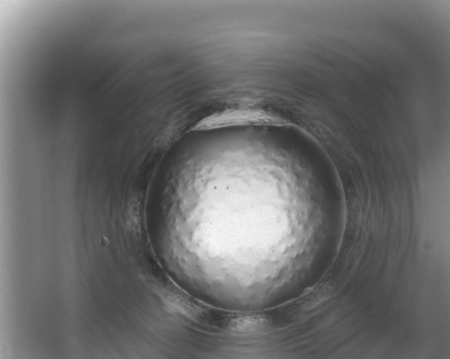 X0000067940274200604171508