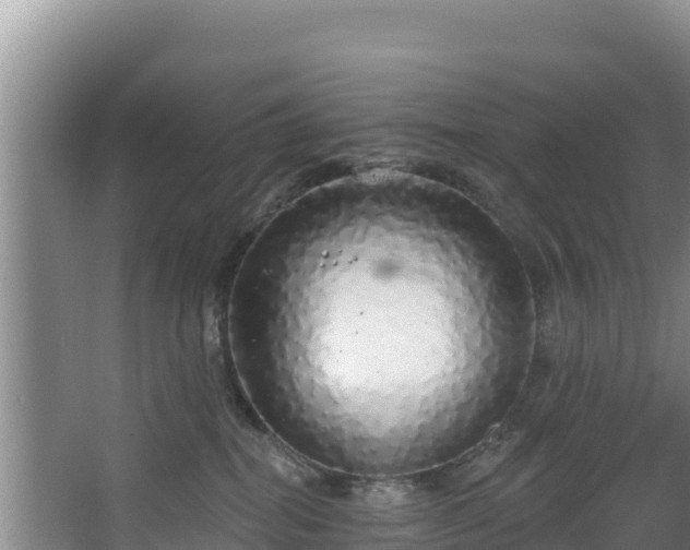 X0000067940282200604171508
