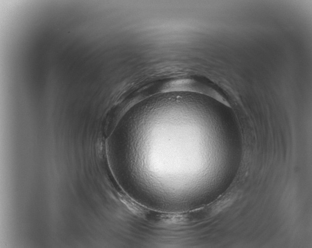 X0000067940288200604171508