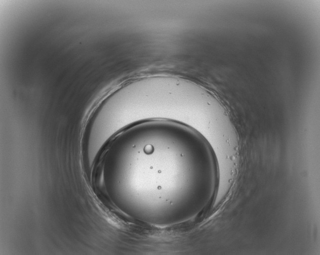 X0000067940293200604171508