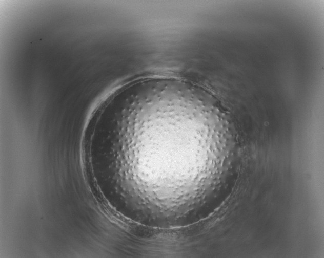 X0000067940294200604171508