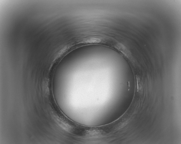 X0000067940300200604171507