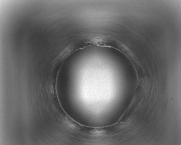 X0000067940313200604171507
