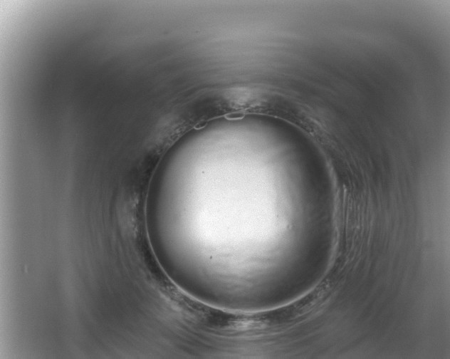 X0000067940319200604171507