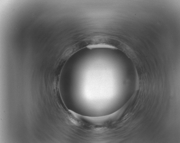 X0000067940333200604171507