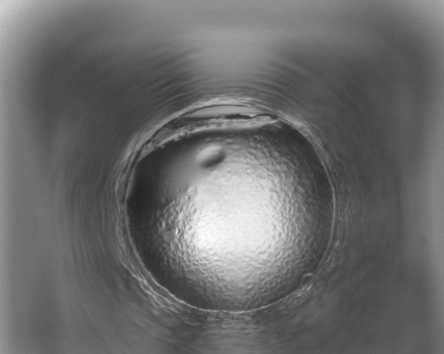 X0000067940337200604171506
