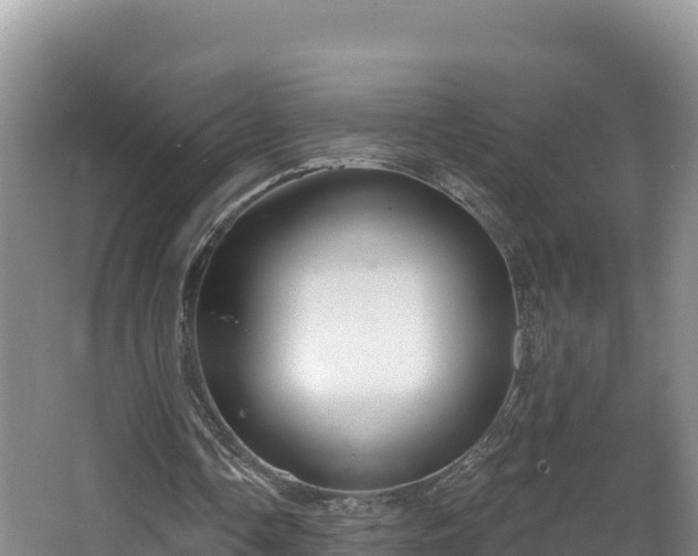 X0000067940338200604171506
