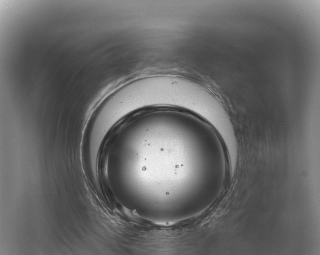 X0000067940340200604171506