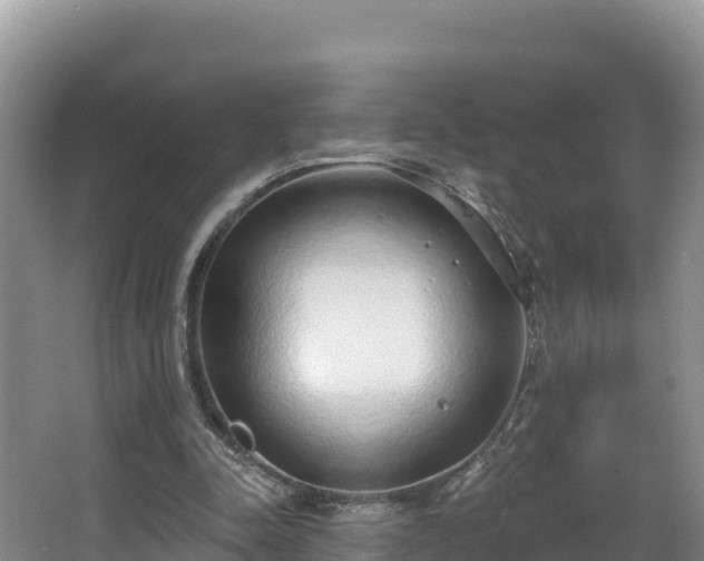 X0000067940342200604171506