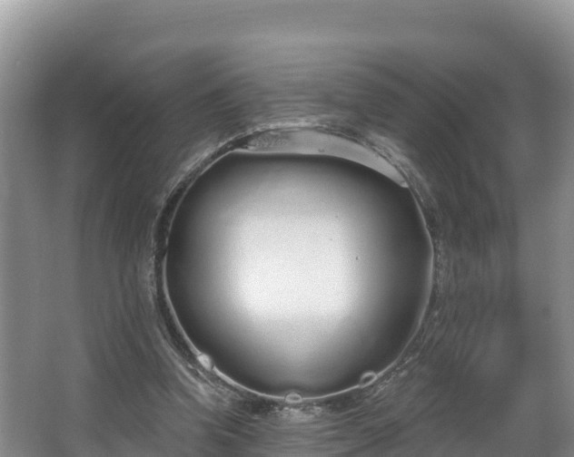 X0000067940346200604171506