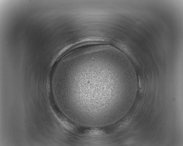 X0000067940348200604171506