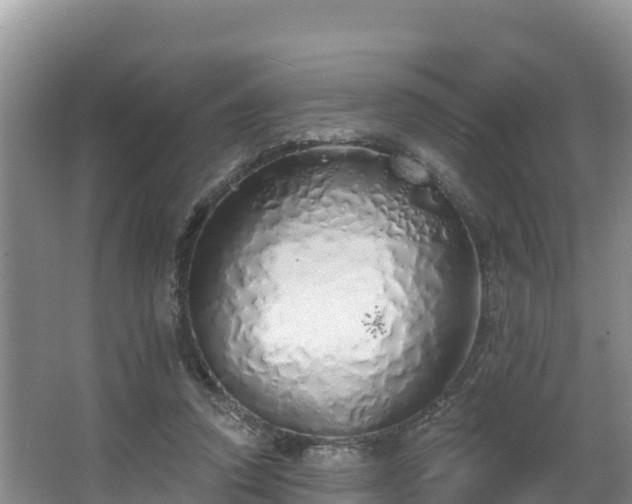 X0000067940354200604171506