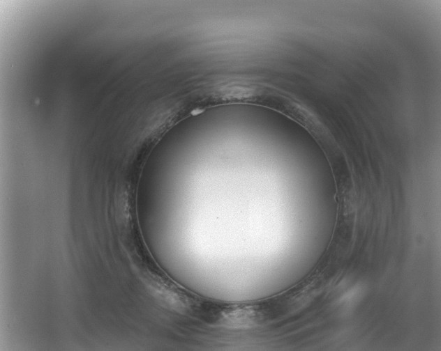 X0000067940362200604171506