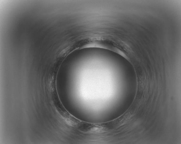 X0000067940364200604171506