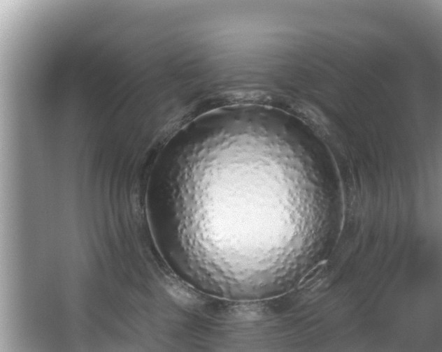 X0000067940377200604171507
