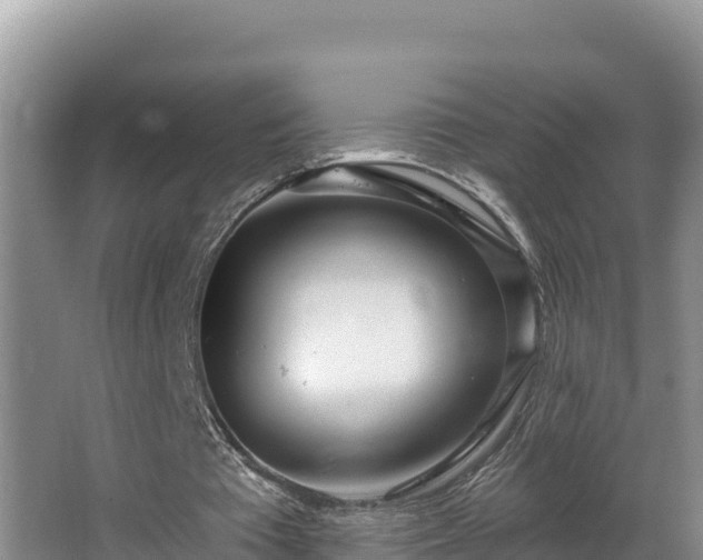 X0000067940385200604171506