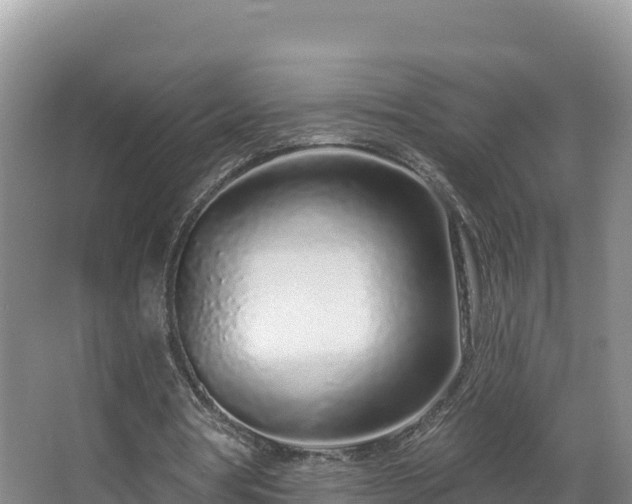 X0000067940386200604171506