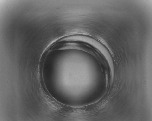 X0000067940387200604171506