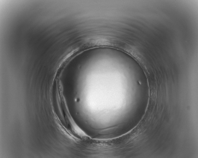 X0000067940390200604171506