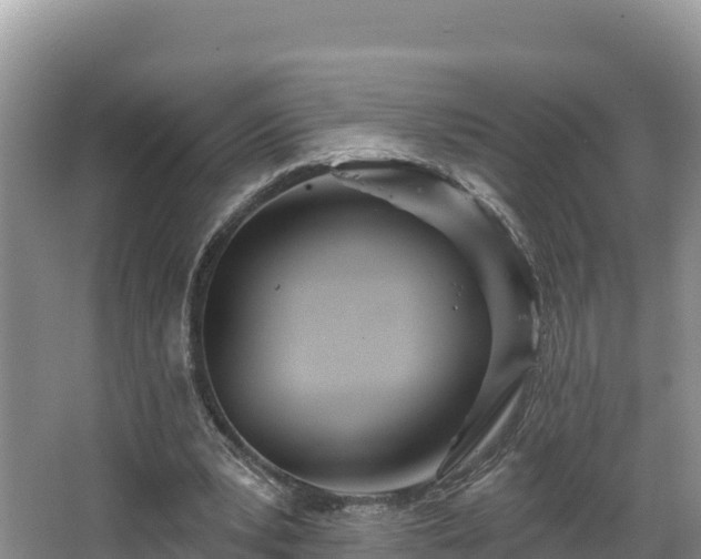 X0000067940391200604171506