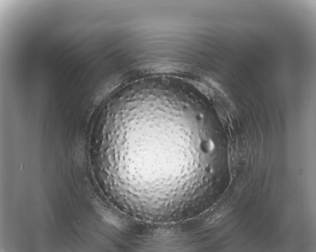 X0000067940394200604171506