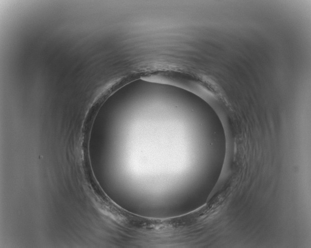 X0000067940395200604171506