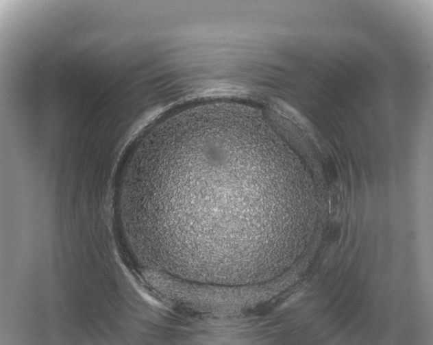 X0000067940436200604171504