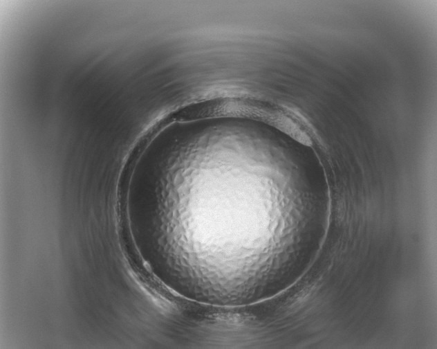 X0000067940439200604171504