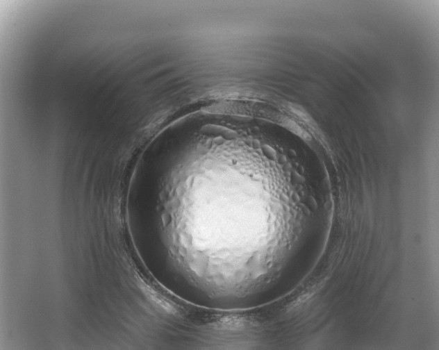 X0000067940441200604171505