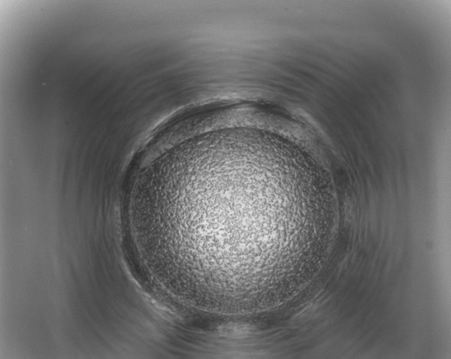 X0000067940444200604171505
