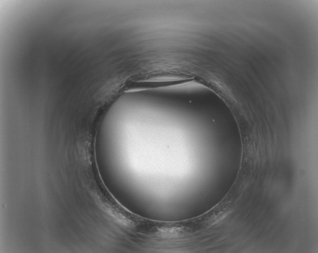 X0000067940450200604171505