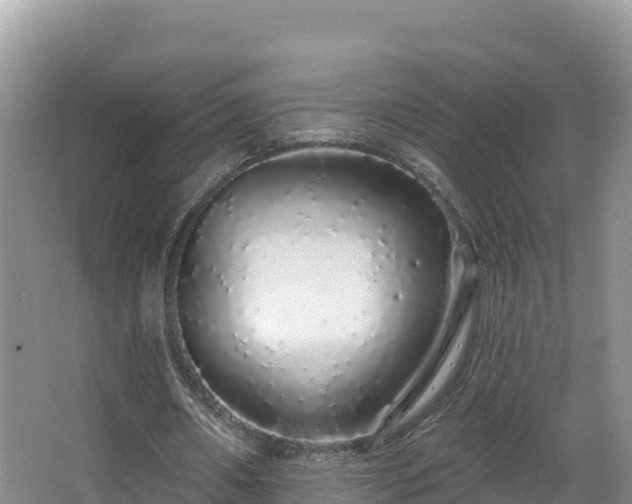 X0000067940482200604171504