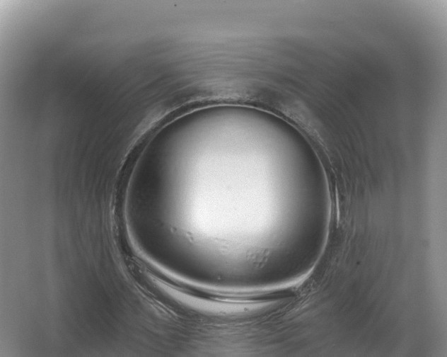 X0000067940483200604171504