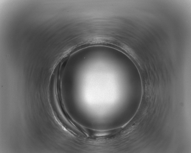 X0000067940485200604171504