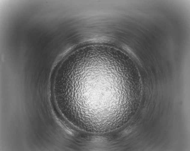 X0000067940486200604171504