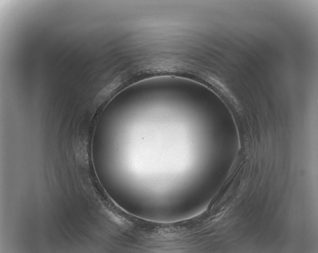 X0000067940489200604171504
