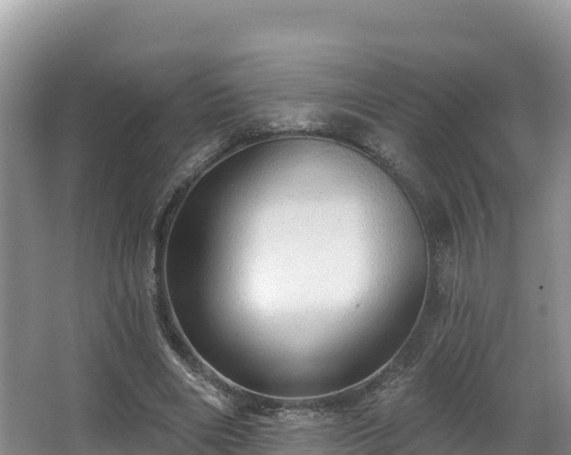 X0000067940490200604171504