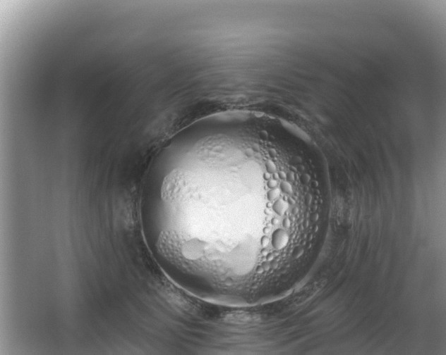 X0000067940515200604171504