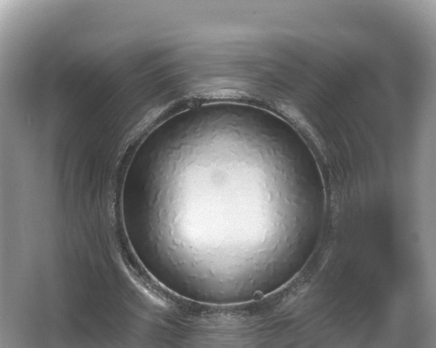 X0000067940533200604171503