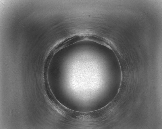 X0000067940535200604171503