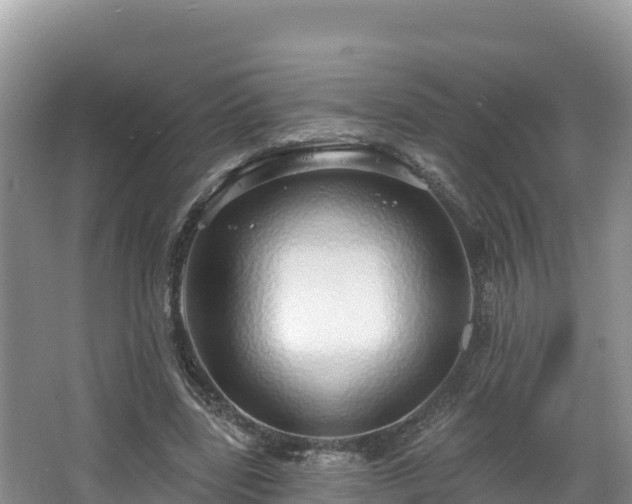 X0000067940539200604171503