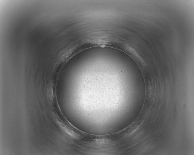 X0000067940541200604171503