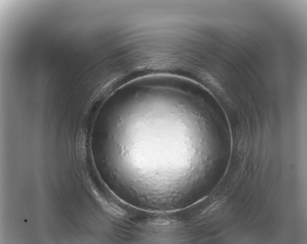 X0000067940542200604171503