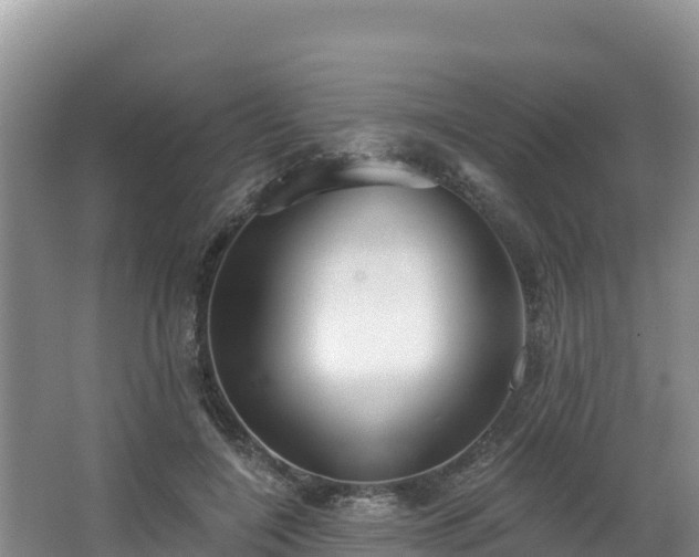 X0000067940548200604171503