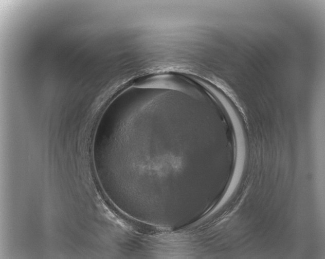 X0000067940577200604171503