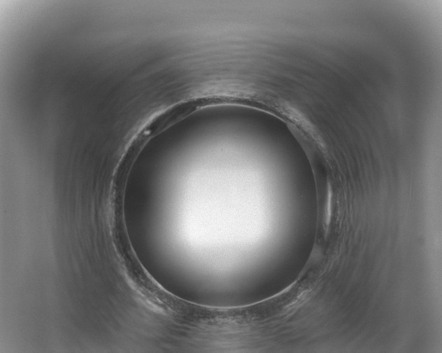X0000067940580200604171503