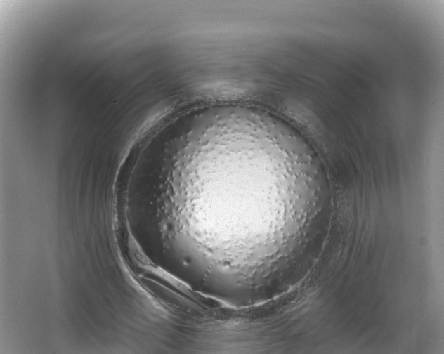 X0000067940582200604171503