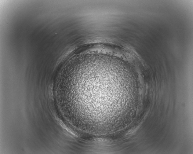 X0000067940585200604171503