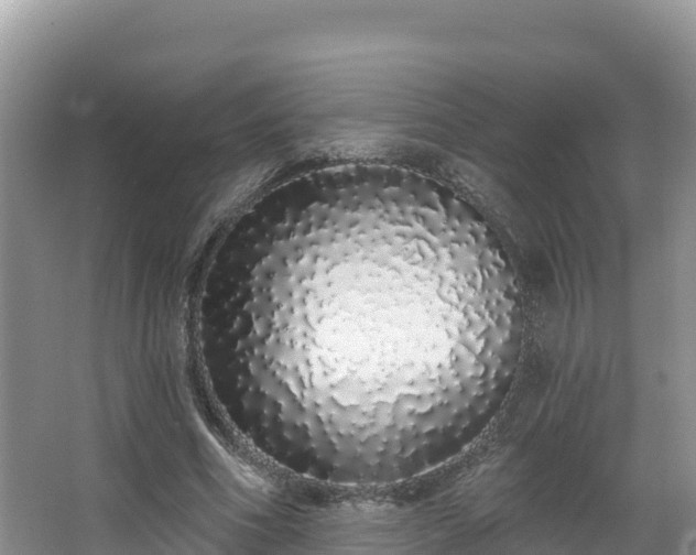 X0000067940586200604171503